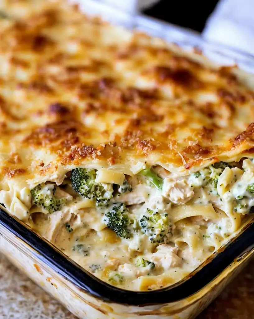 Delicious Chicken and Broccoli Lasagna Alfredo Recipe